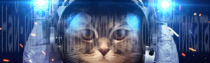 Cats with Character